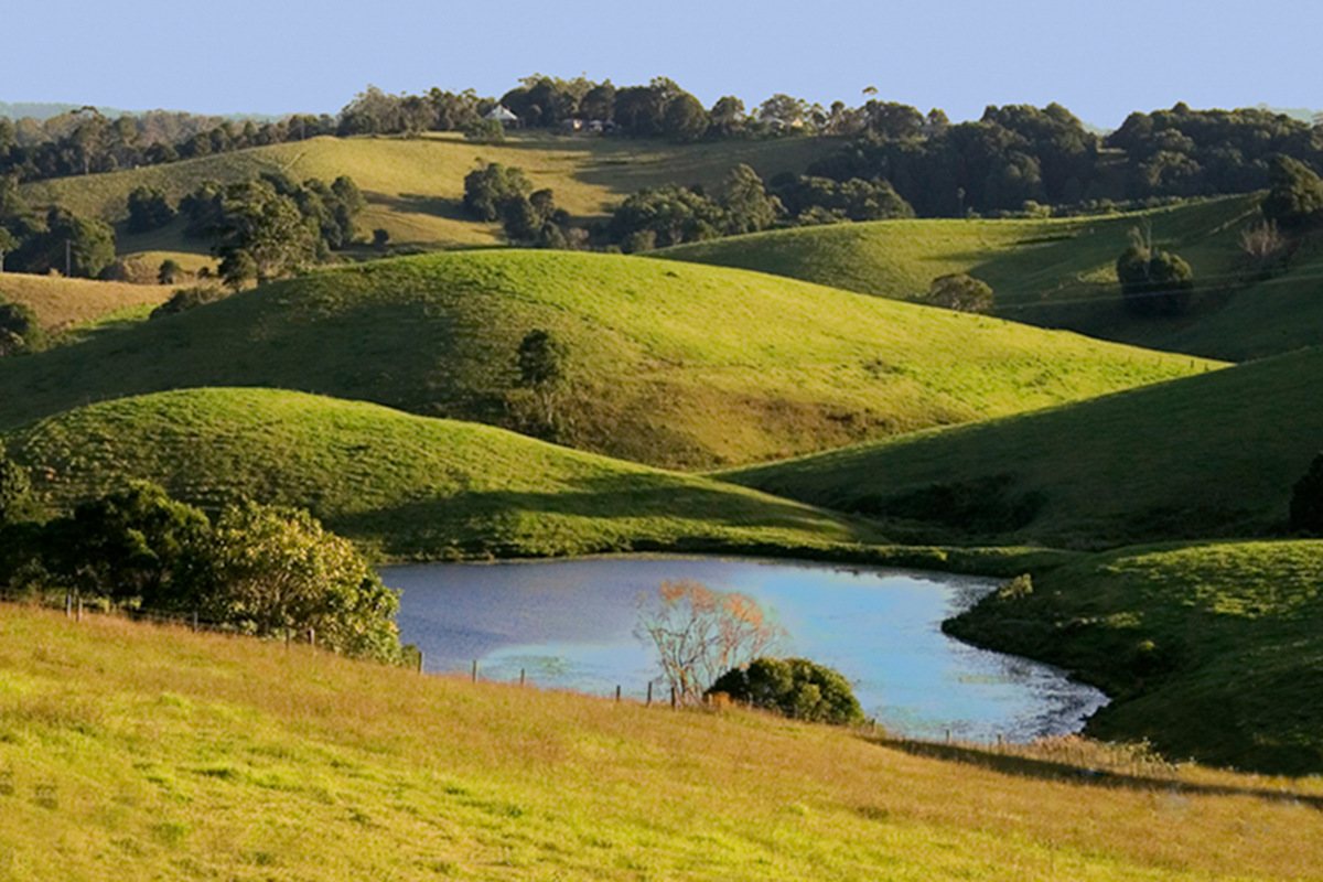 Maleny Realty Real Estate Maleny Land Maleny For Sale Maleny > Home